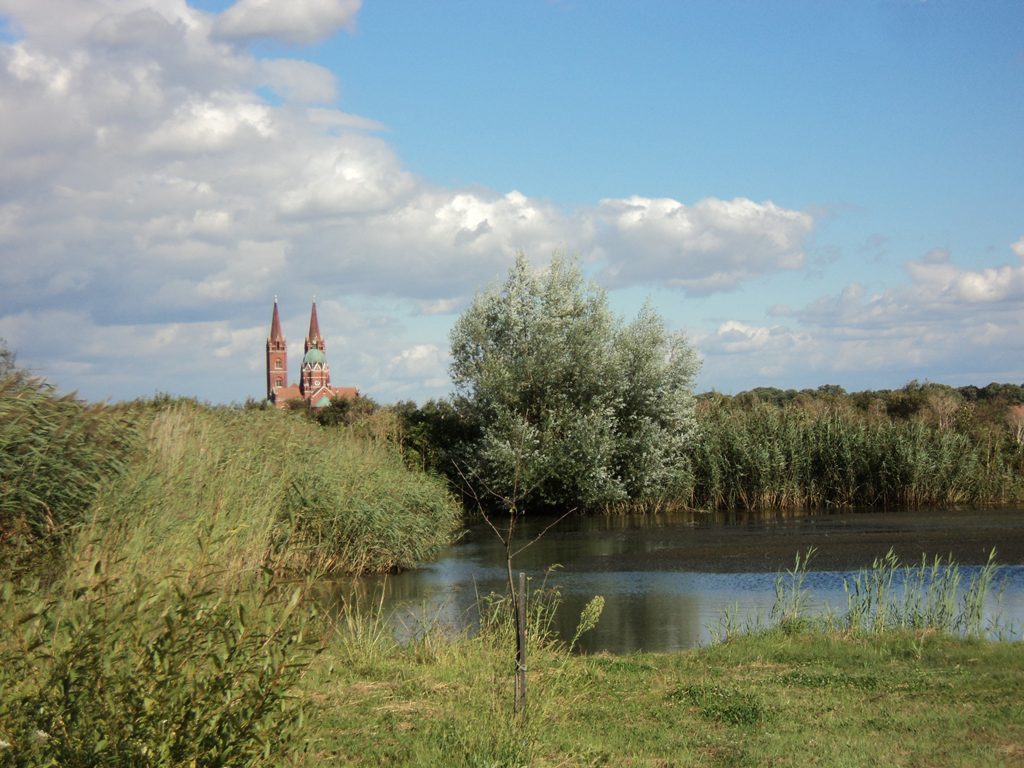 Bajer: mirno jezero koje osvaja na prvi pogled