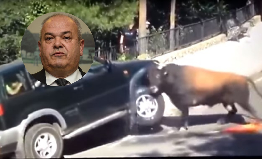 Mirko Duspara i magični kist: kako se Brod uređuje bojom, a ne razumom