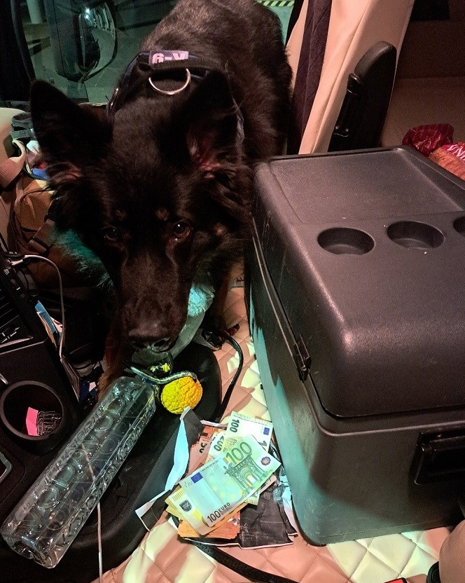 Pas „Buli“ nanjušio 12.000 eura skrivenih u kabini kamiona