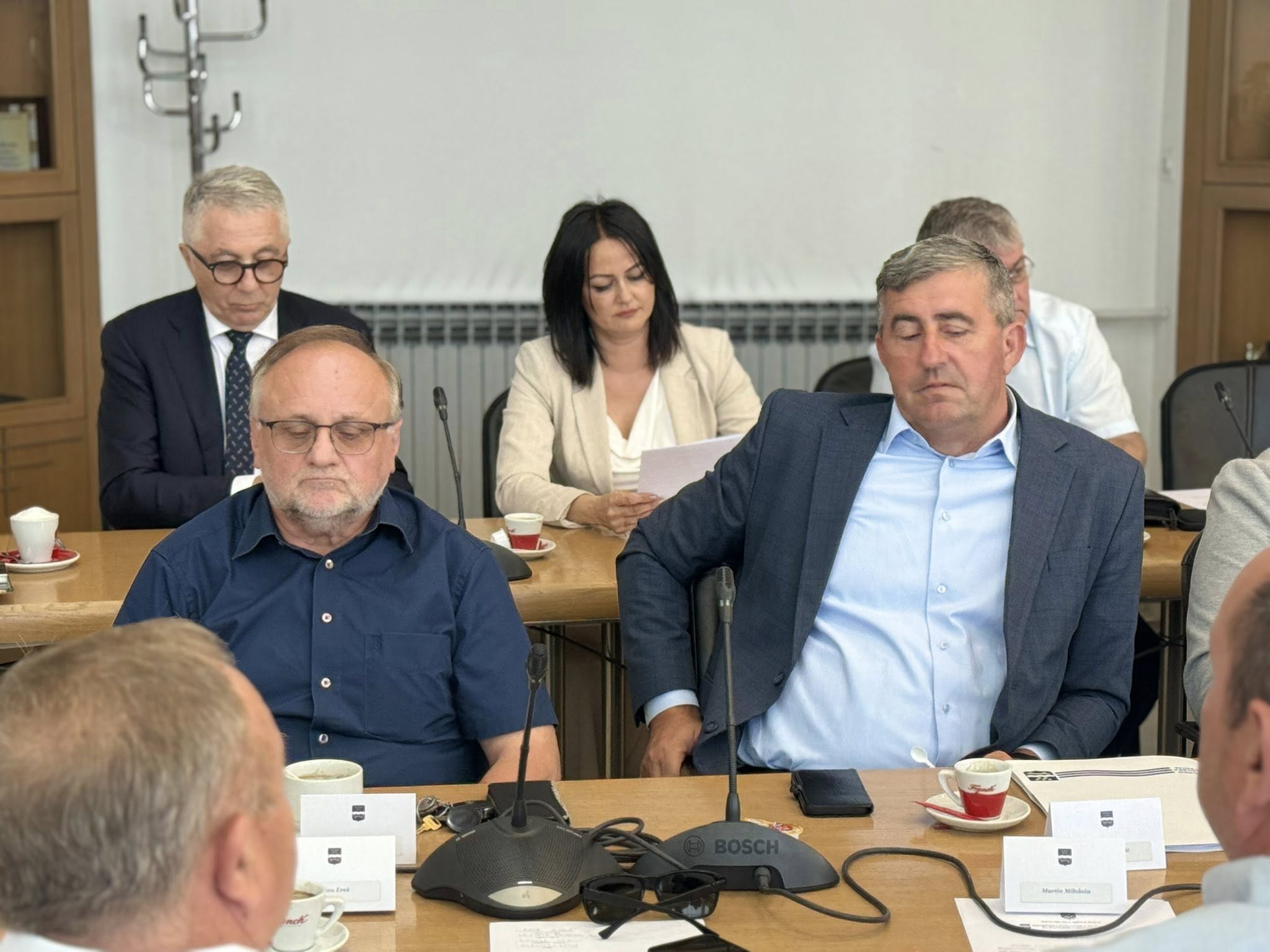 SLAVICA LEMAIĆ O „SLUČAJU PERE ĆOSIĆA“ : O tome pitajte tadašnju oporbu koja mu je jednoglasno  dala potporu