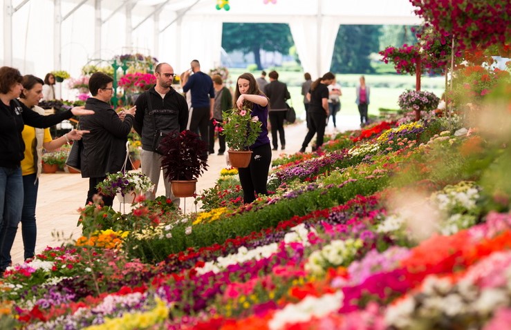 Florafest u Tvrđavi Brod: Cvjetna čarolija, kultura i znanje na jednom mjestu