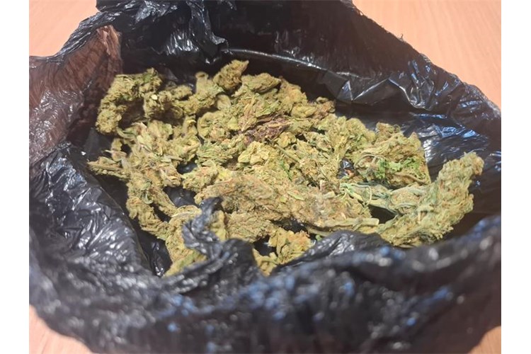 U Pleternici uhićen 24-godišnjak zbog prodaje i omogućavanja trošenja droge